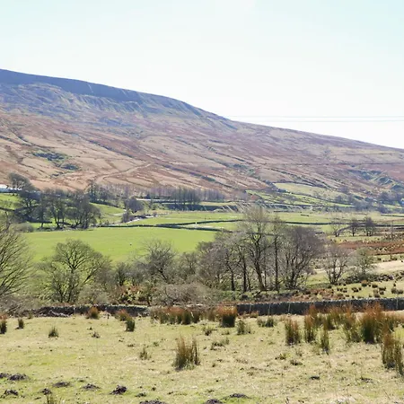 Sycamore Tree Farm Vakantiehuis *