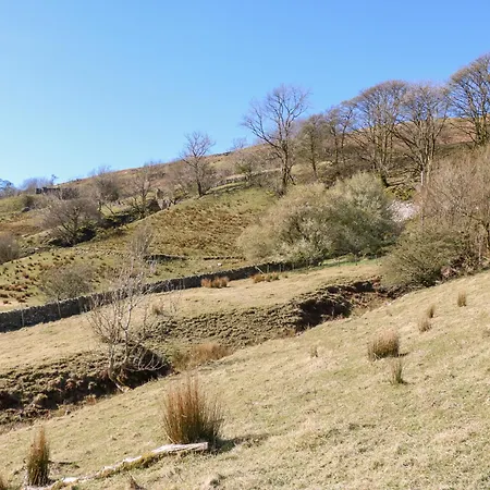 Sycamore Tree Farm *