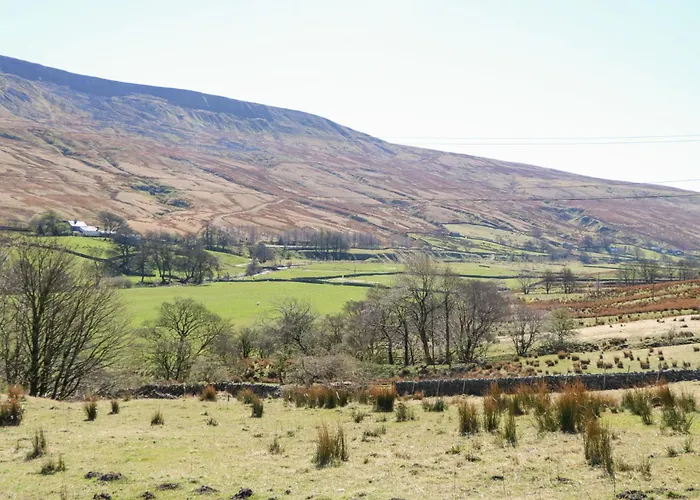 Sycamore Tree Farm Casa de Férias *