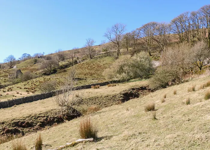 Sycamore Tree Farm *