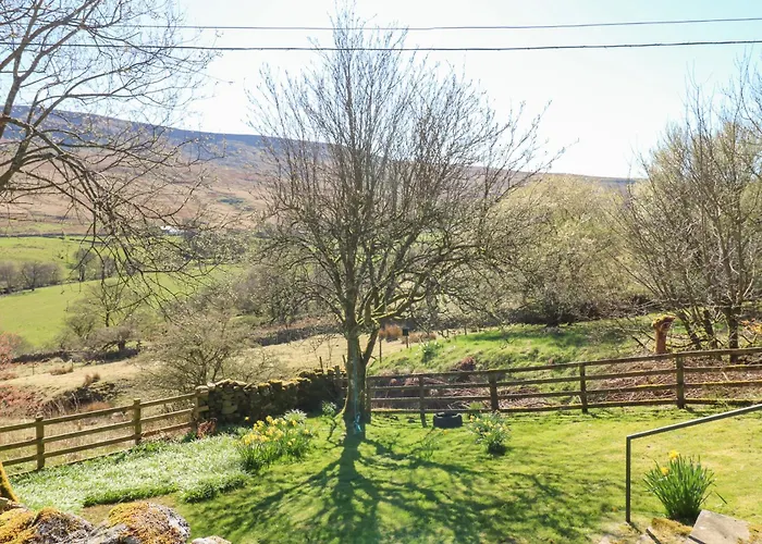 Sycamore Tree Farm Outhgill