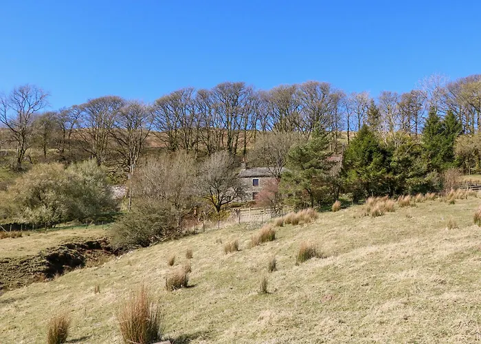 Sycamore Tree Farm Casa de Férias
